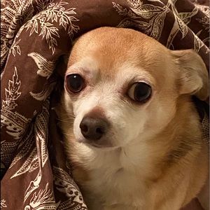 Meet your Posher, Kurt